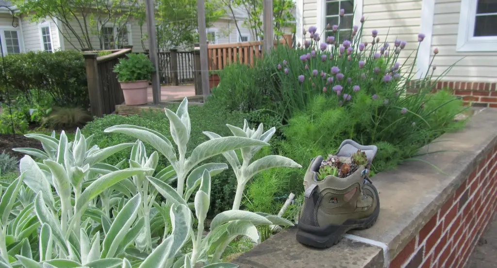 Garden for residents with dementia