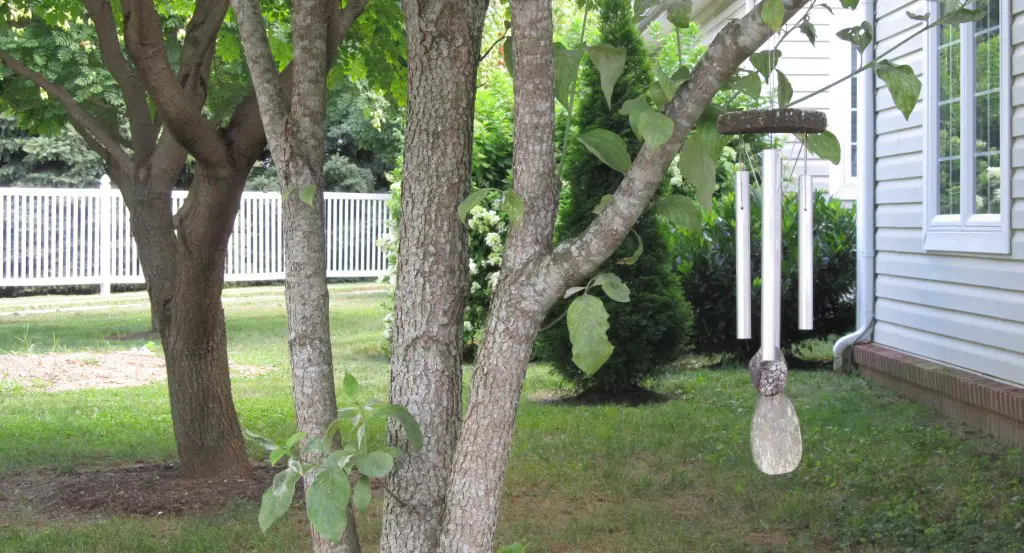 Memory trees at Barclay Friends