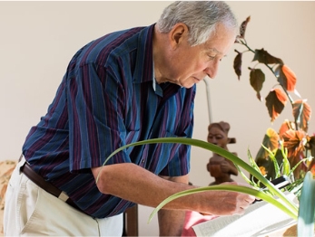 Man tending indoor plantings