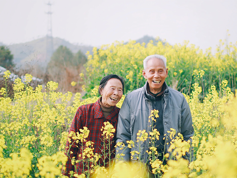 Enso Village Asian couple in field of yellow flowers
