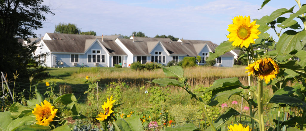 Lathrop Easthampton with sunflowers in foreground