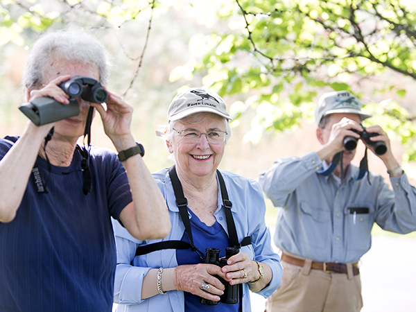 group bird watching