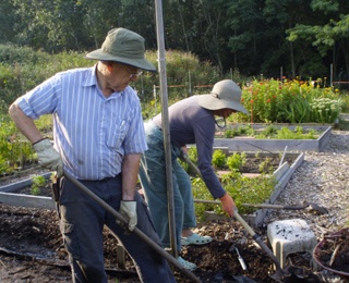 Senior living resident work toward sustainability goals in garden