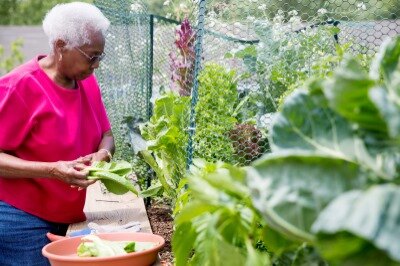 woman gardening