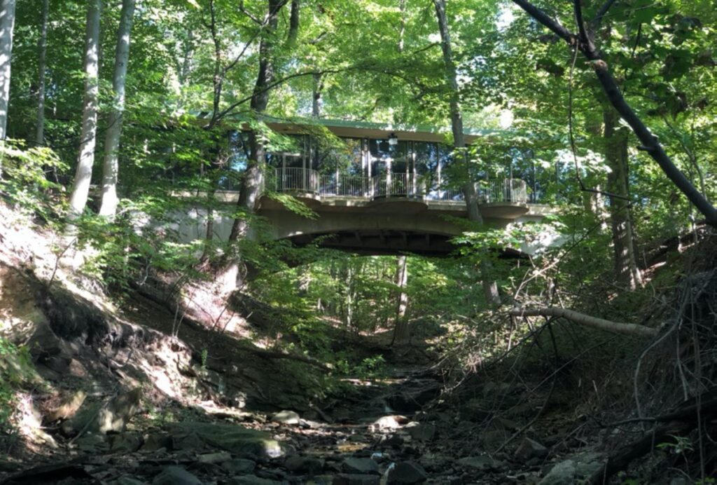 pretty nature with bridge Park Synagogue