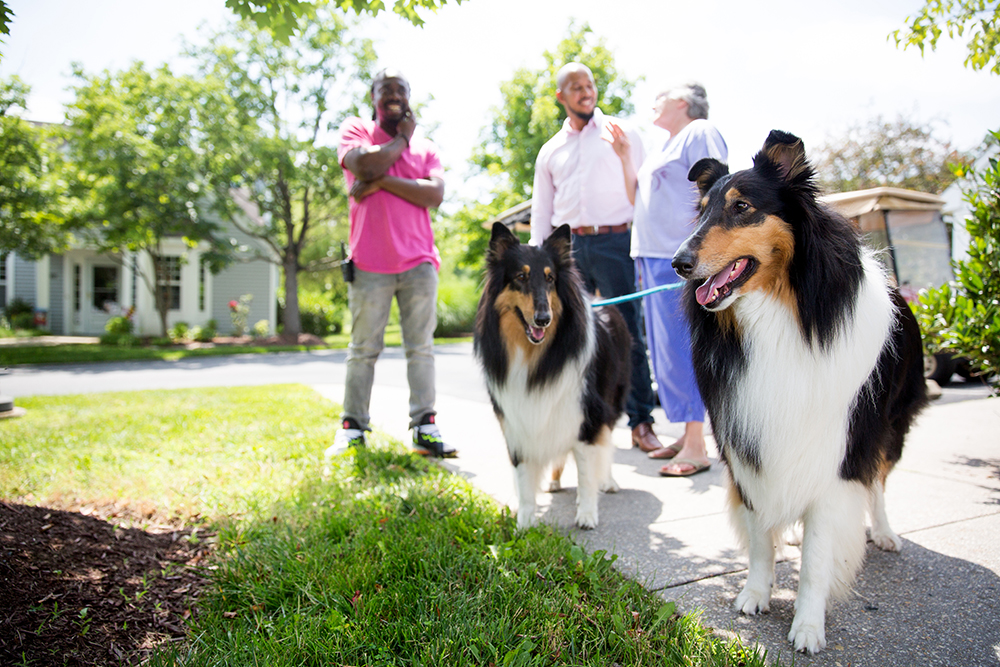 Senior living resident chats with staff while walking dogs