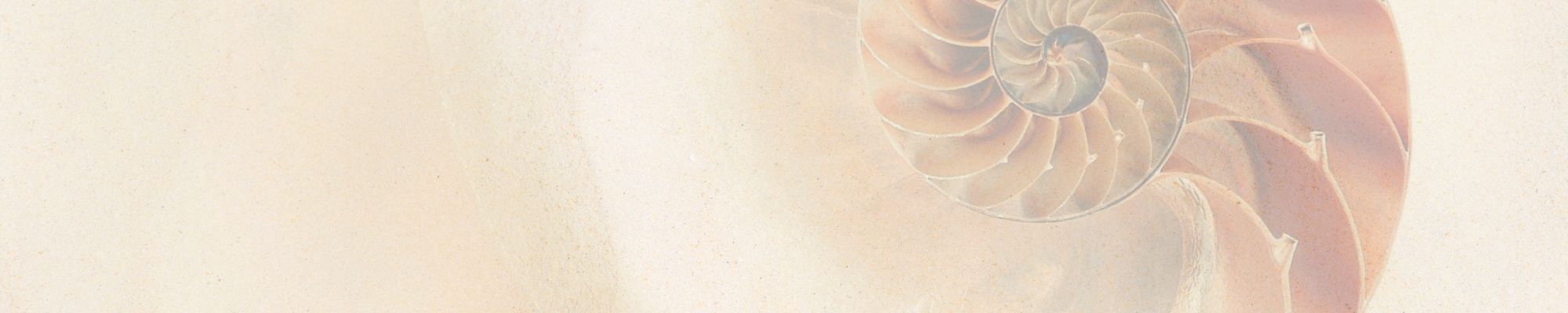 spiral shell background