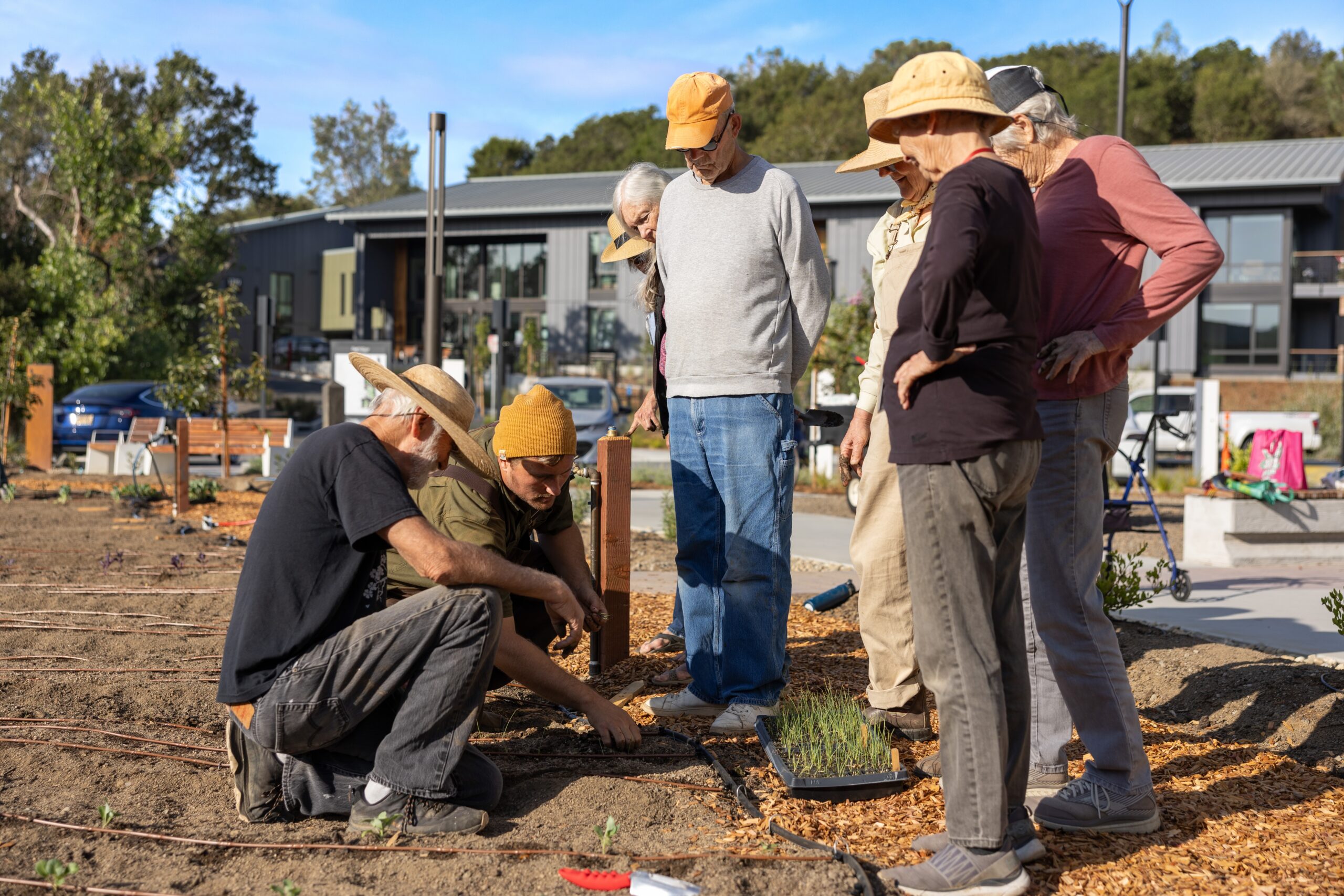 Group of people in garden