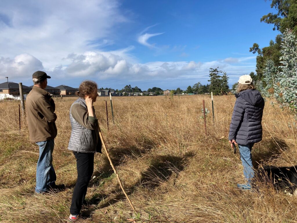 Humboldt Commons future site