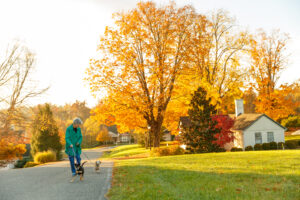 Moe and Tenny take a walk with their owner on the Kendal campus.